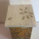 Bee Box-Waggle Dance Lid