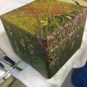 Bog (Flow Country Peatland)