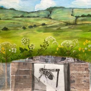 Chilterns Mini-Miner Bee (Andrena floricola)